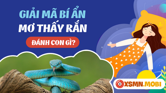 Đánh đề số mấy khi mơ thấy rắn?