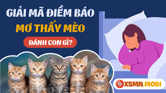 Đánh đề bao nhiêu khi ngủ mơ thấy mèo?