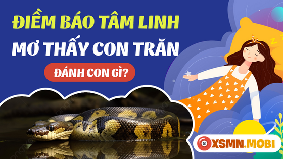 Đánh số đề bao nhiêu khi mơ ngủ thấy con trăn?