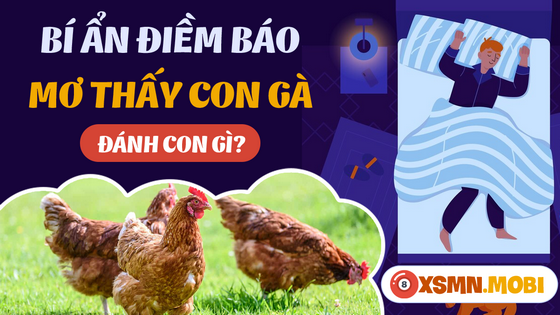 Ngủ mơ thấy gà mua số mấy trúng lớn?