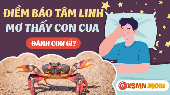 Nằm mơ thấy cua mua số bao nhiêu?