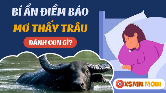 Ngủ mơ thấy trâu đánh lô đề bao nhiêu?