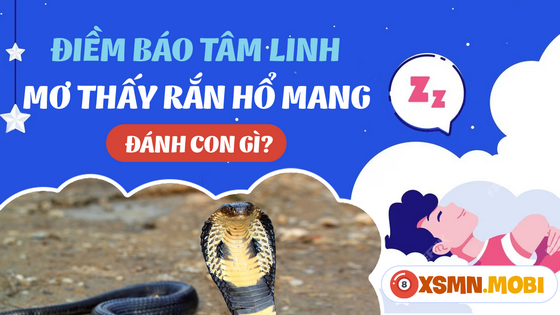 Chiêm bao thấy rắn hổ mang đánh con số bao nhiêu trúng lớn?