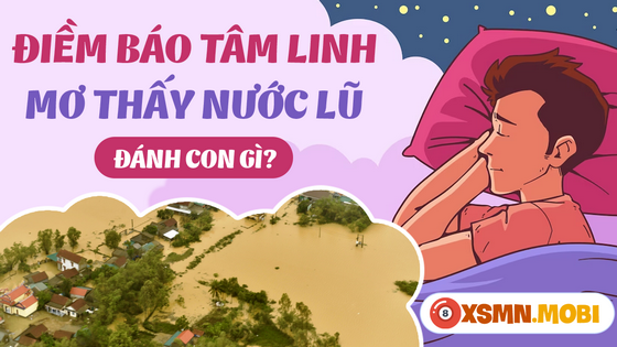 Chiêm bao thấy nước lũ đánh số mấy dễ thắng cược?