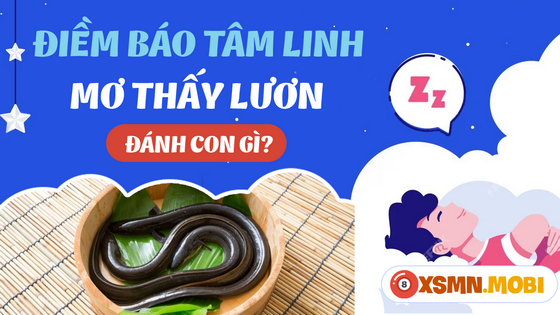 Chiêm bao thấy con lươn mua số gì may mắn?