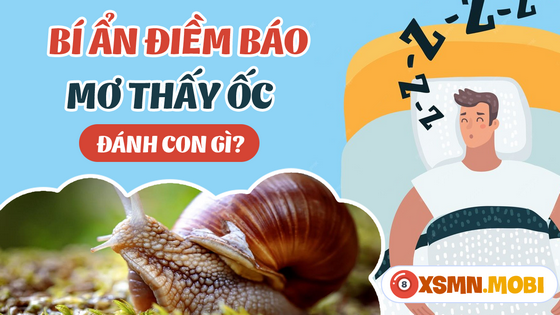 Đánh đề số mấy khi nằm mơ thấy ốc?