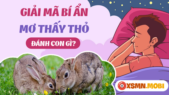 Con số nào mang tới vận may khi mơ thấy thỏ?