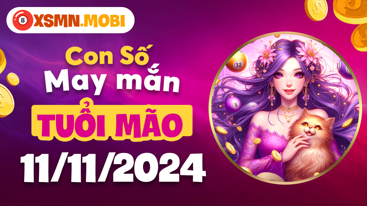 Các con số thu hút may mắn trong ngày 11/11/2024 của tuổi Mão